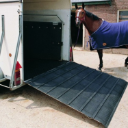 Horse & Cow Mat (1)