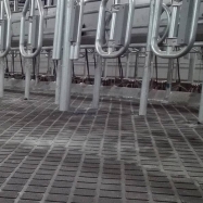 Horse & Cow Mat (8)