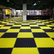 Taekwondo Puzzle Mat (1)