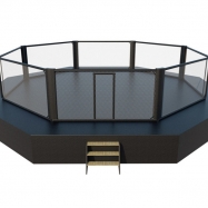 MMA Cage (1)