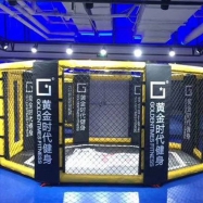 MMA Cage (2)