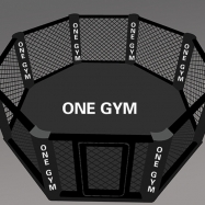 MMA Cage (5)