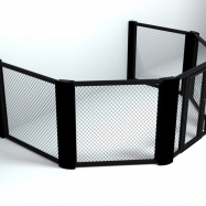 MMA Cage (3)