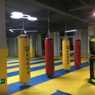 Boxing ring (3)