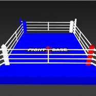 Boxing ring (2)