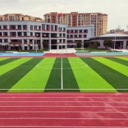 Artificial Turf (1)