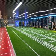 Artificial Turf (3)